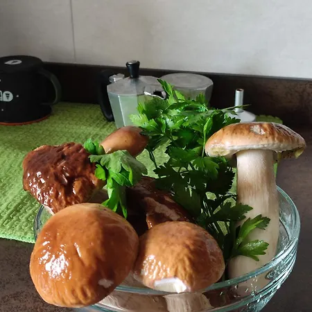 Salita Al Castello